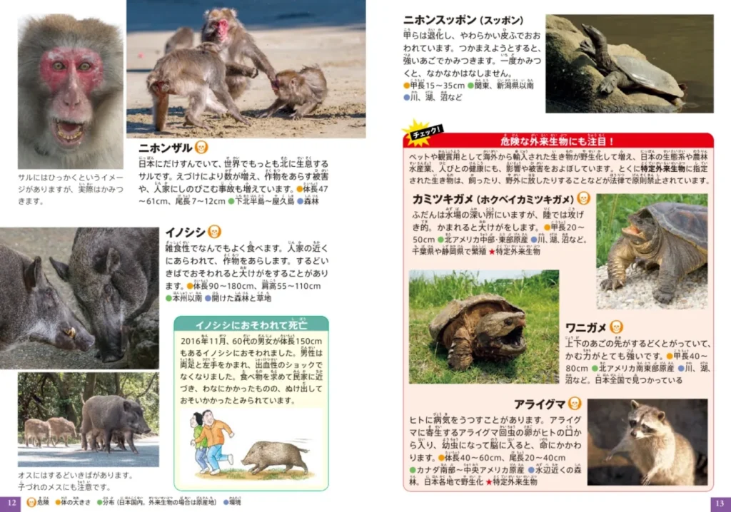 ミニ図鑑「危険生物 日本の海と陸 クイズ&ゲームつき」内容1